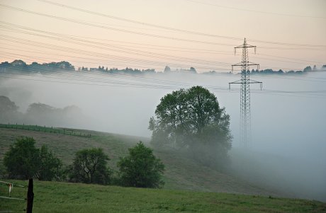 Foto: Nebel im Bertramsmhler Bachtal