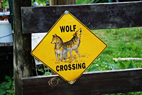 Foto: Schild mit der Aufschrift 'Wolf Crossing'