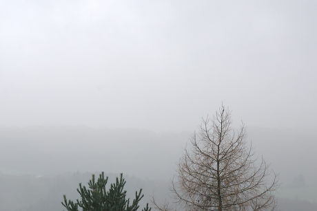 Foto: Landschaft im Nebel