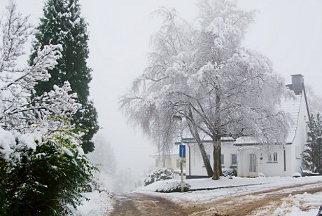 Foto: Schneelandschaft