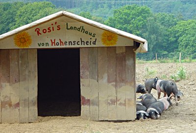 Rosis Landhaus von Hohenscheid