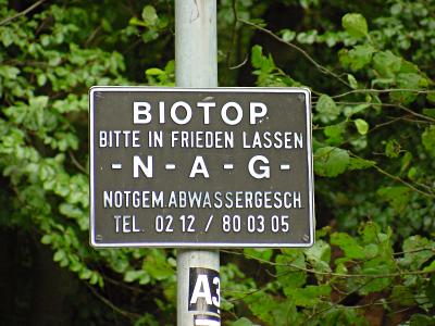 Biotop - NAG - Hohlenpuhler Kotten
