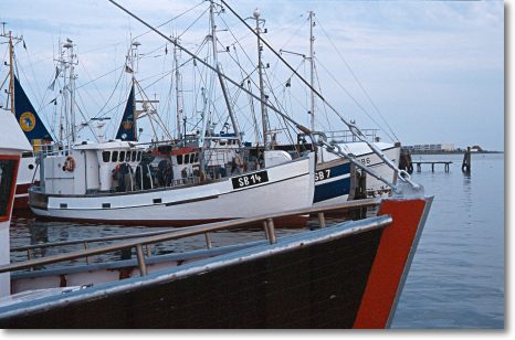 Burg auf Fehmarn - Hafen