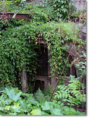 Foto: Reste des oberschlächtigen Wasserades der Haasenmühle im Jahre 2001