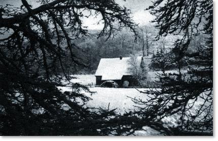 Foto: Winter in den Gräfrather Wupperbergen
