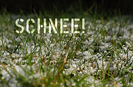 Foto: Schneeflocken an Rasen