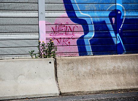 Foto: Grnstreifen mit Graffito