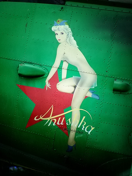 Foto: Flugzeugboardwand mit Pin-Up Girl